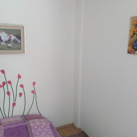 Hostel Trajan Donji Milanovac Extérieur photo